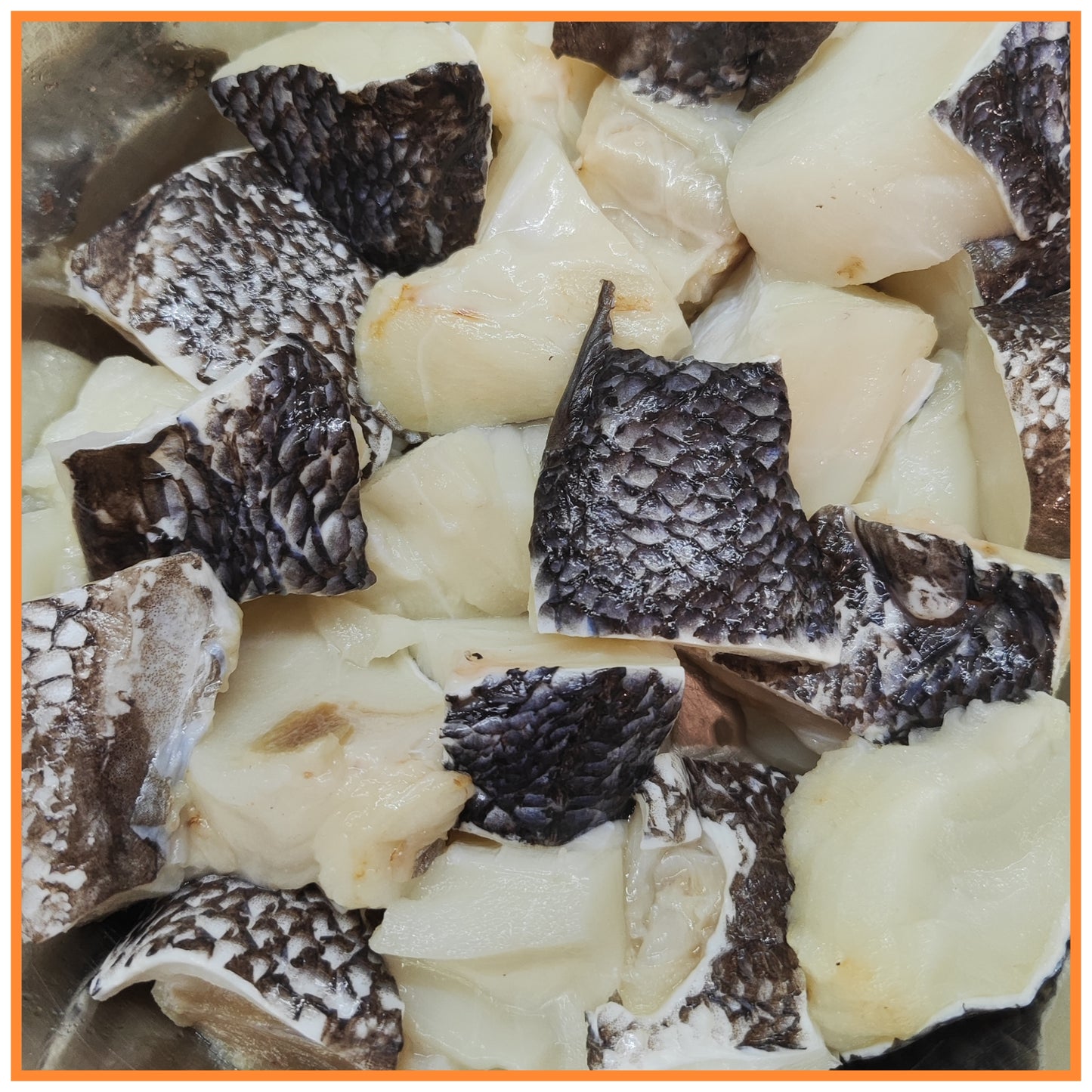 Wild Caught Toothfish Collar
