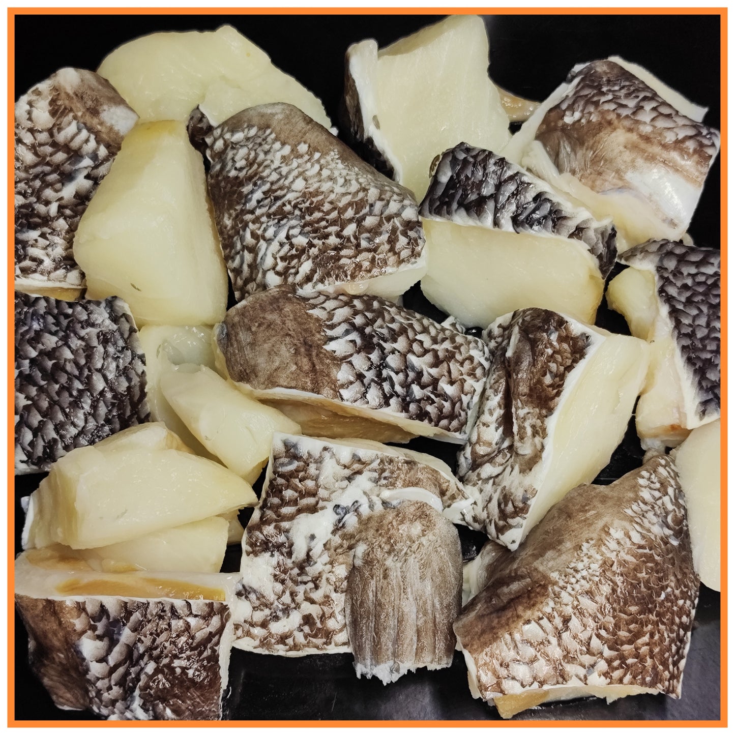 Wild Caught Toothfish Collar